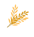 new leafs